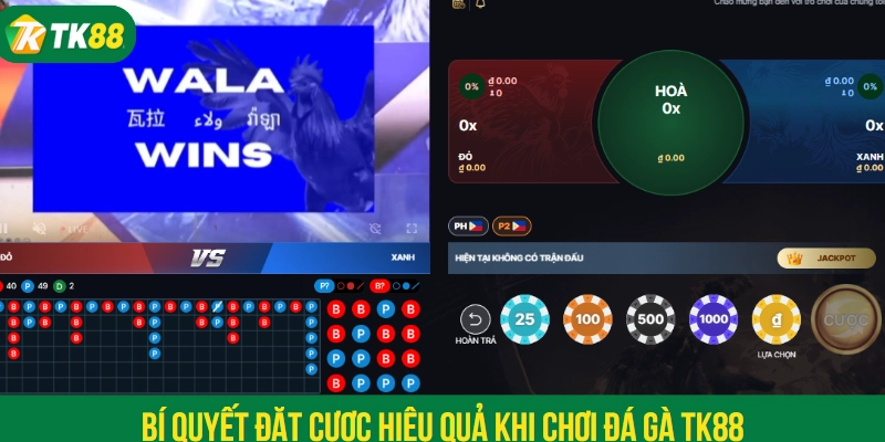 Bí quyết đặt cược hiệu quả khi chơi đá gà TK88