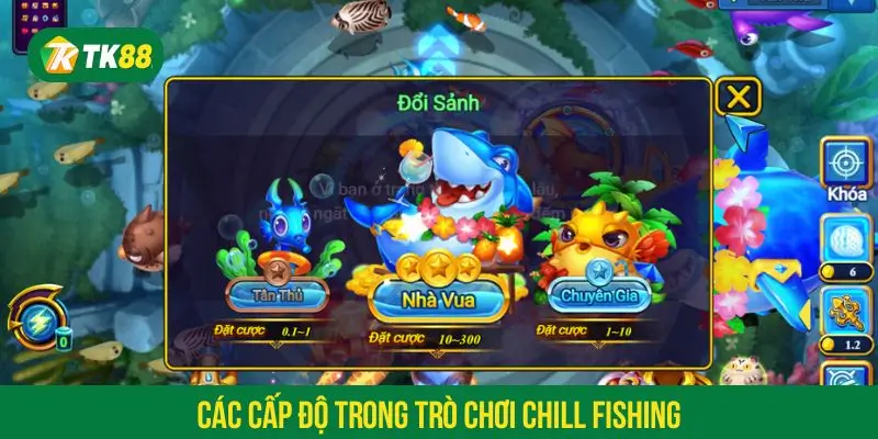 Có 3 cấp độ trong trò chơi