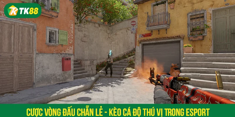 Cược vòng đấu chẵn lẻ