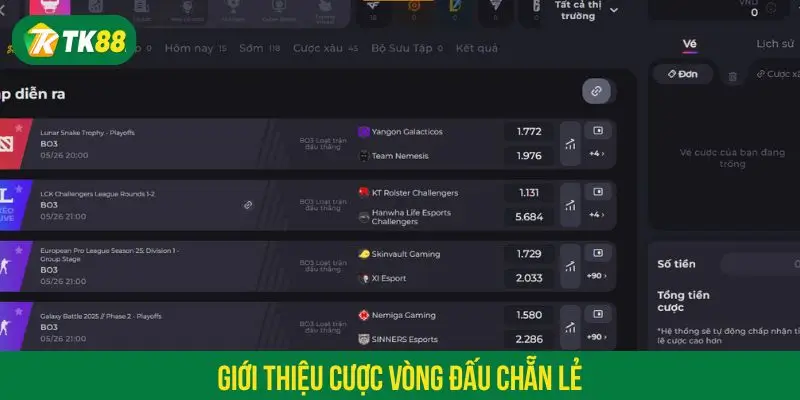 Giới thiệu cược vòng đấu chẵn lẻ