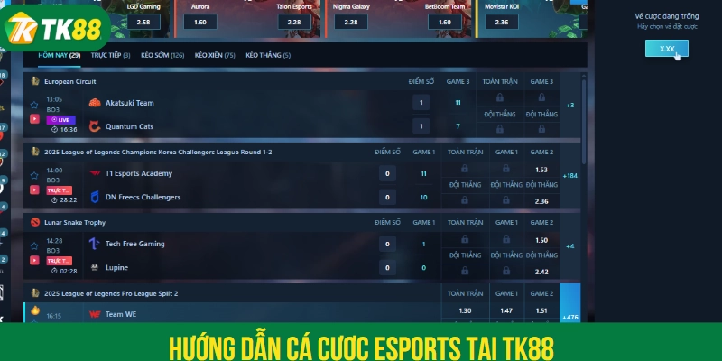 Hướng dẫn cá cược Esports tại TK88