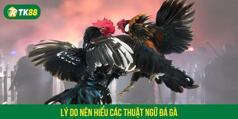 Lý do nên hiểu rõ ý nghĩa các thuật ngữ