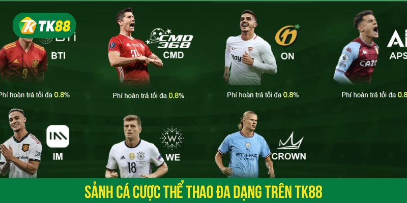 Sảnh cá cược thể thao đa dạng trên TK88