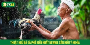 Thuật ngữ đá gà