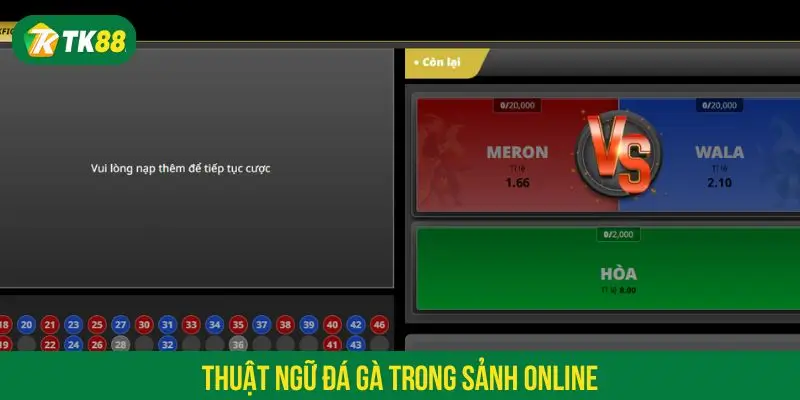 Thuật ngữ khi chơi cá cược online