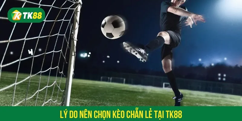 Tỷ lệ ăn của kèo chẵn lẻ tại TK88 thường rất ổn định