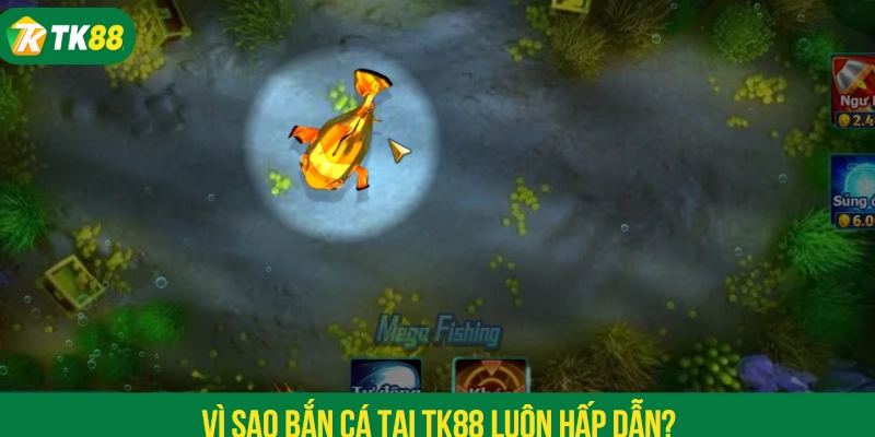Vì sao bắn cá tại TK88 luôn hấp dẫn?