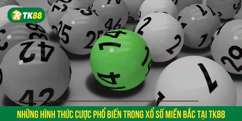 Xổ số miền Bắc tại TK88 mang đến nhiều lựa chọn cược hấp dẫn