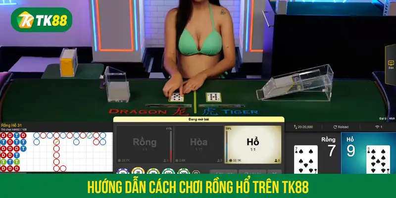 Hướng dẫn cách chơi Rồng Hổ trên TK88