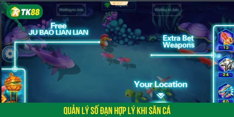 Quản lý số đạn hợp lý khi săn cá