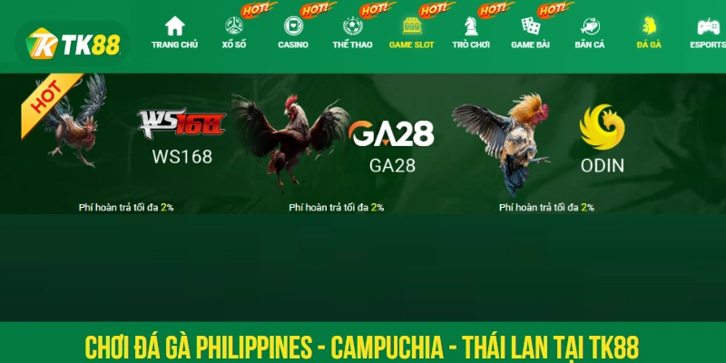 Chơi đá gà Philippines - Campuchia - Thái Lan tại TK88