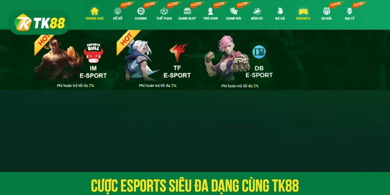 Cược Esports siêu đa dạng cùng TK88